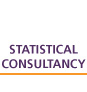 statistical consultancy